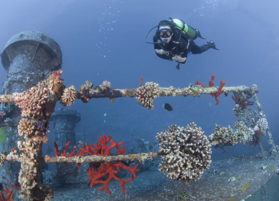 Nos séjours plongée en Jordanie