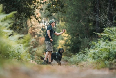 randonnée avec son chien