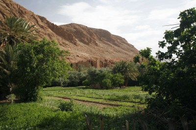 gorge de Todra au Maroc