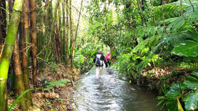 Nos séjours multiactivités été pour visiter les Dom-Tom