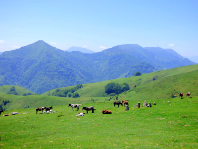 Randonnée / Trek × Hendaye