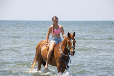 Séjours randonnée équestre à la Manche