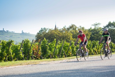 Cyclistes en Alsace