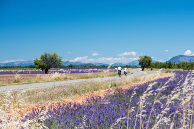 Nos séjours à vélo en Provence-Alpes-Côte d'Azur