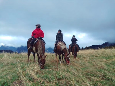 Randonnée équestre dans le Massif du Mont-Blanc