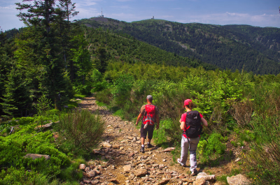 Randonnée / Trek × Landes