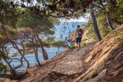 Provence-Alpes-Côte d'Azur