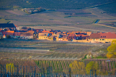 Découvrez nos voyages sportifs en Haut-Rhin pour vos prochaines vacances