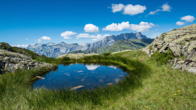 Aravis