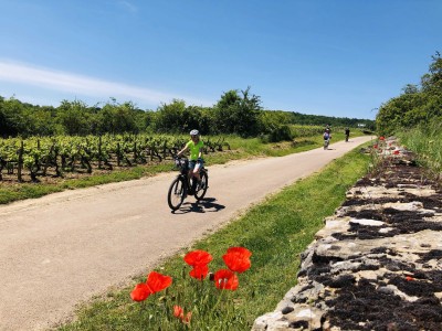 Cyclistes vigne Bourgogne Sud