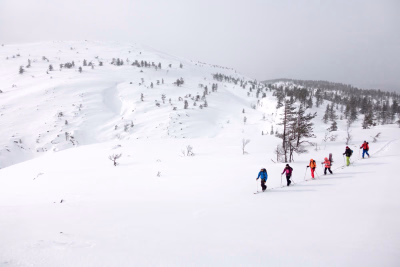 Découvrez nos séjours de randonnée nordique dans le Jura