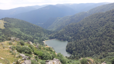 Randonnée / Trek × Grand Est