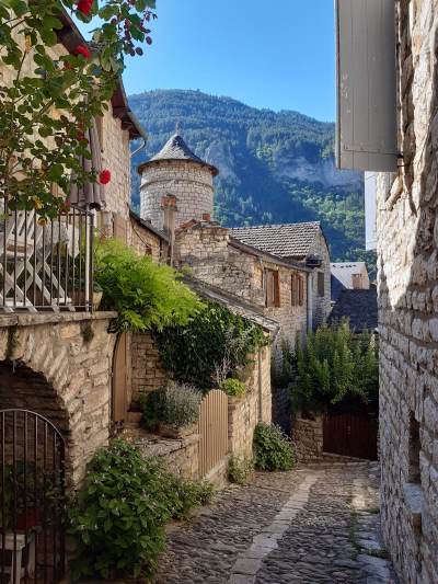 Randonnée / Trek × Cévennes