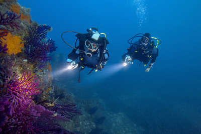Découvrez la vie maritime avec nos séjours de plongée en Provence-Alpes-Côte d'Azur