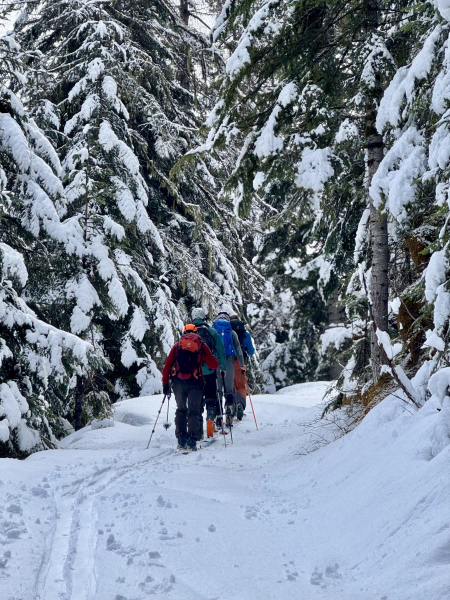 Photo ski de randonnée
