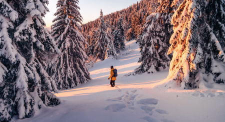 Que faire en été en Laponie ? Et en hiver ?