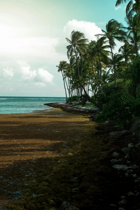 Séjour en Guadeloupe