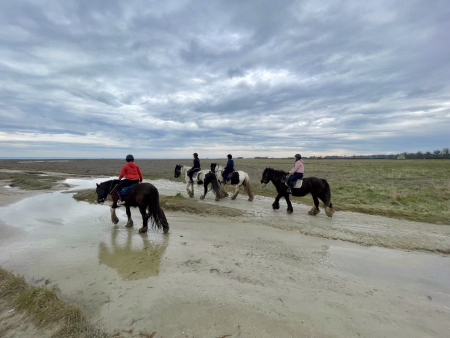 Week-end à cheval dans la baie du Mont Saint-Michel