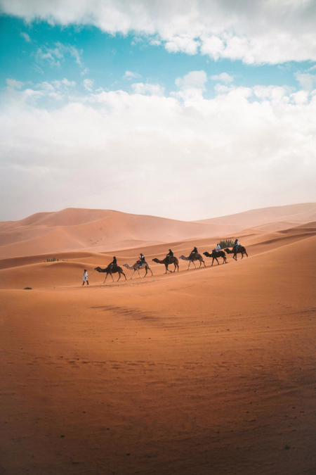 Désert marocain