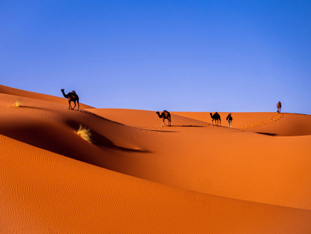 Sahara Occidental