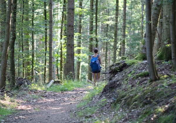 Récit sur le slow travel dans les Vosges en France