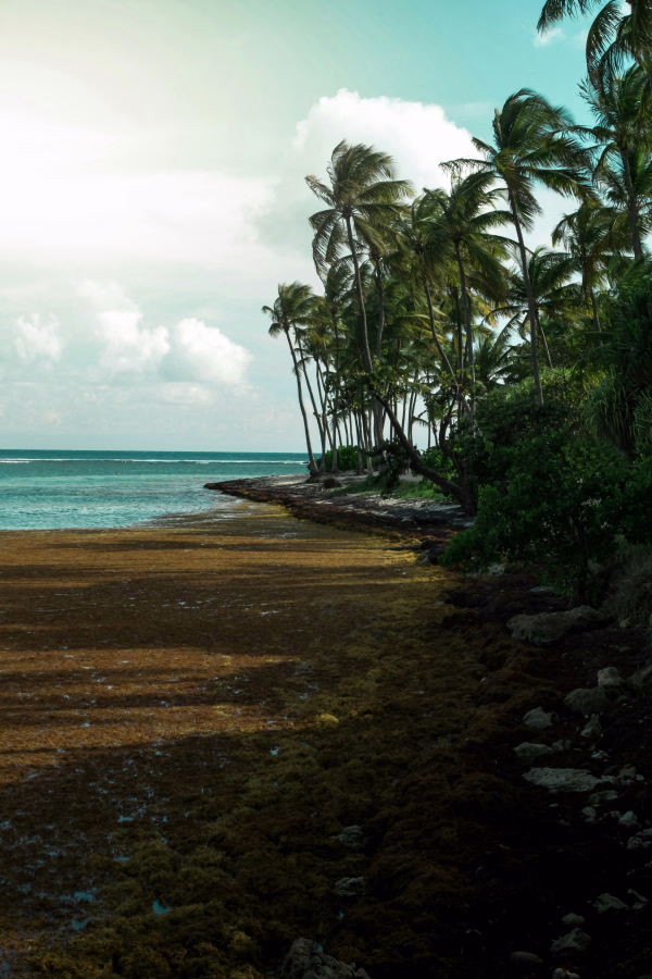 Séjour en Guadeloupe