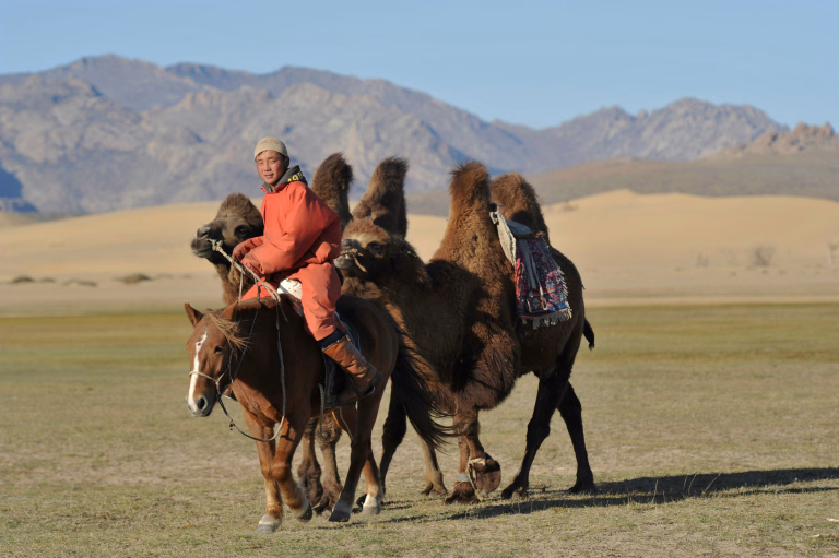 Où et quand partir en Mongolie ?