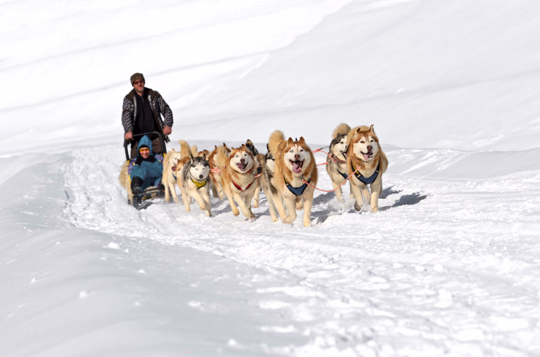 Nos séjours multiactivités pour cet hiver dans les Pyrénées