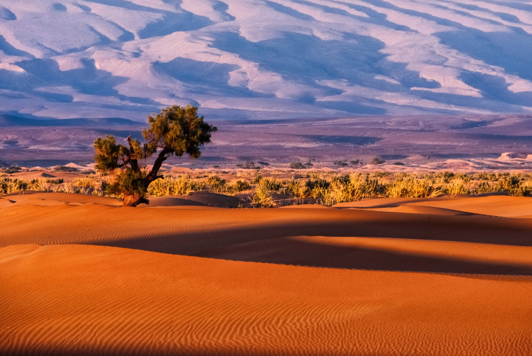 Paysage marocain © Paysage marocain