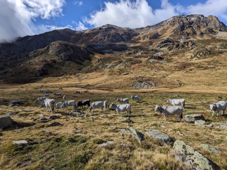 Photo paysage de montagne dans les Pyrénées © Photo paysage de montagne dans les Pyrénées