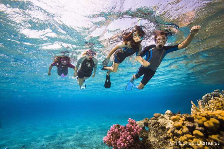 Snorkeling et randonnée palmée en Mer Rouge