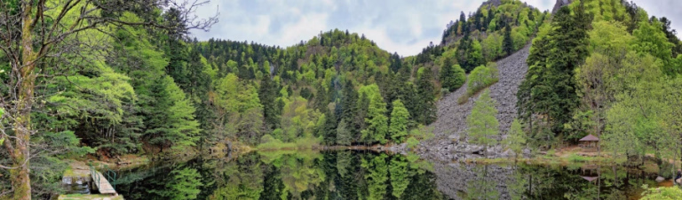 Explorez les paysages magnifiques lors de votre séjour dans les Vosges