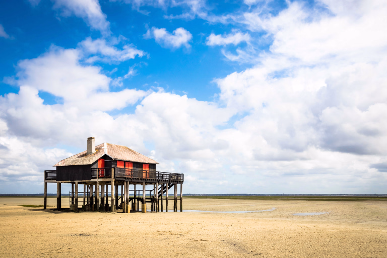 Découvrez nos voyages sportifs à Arcachon pour vos prochaines vacances