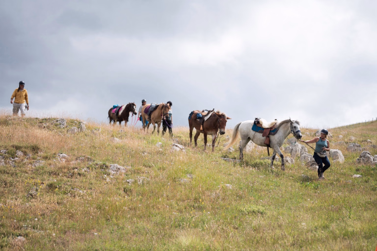Randonnée à cheval sauvage entre Vercors et sommets du Dévoluy