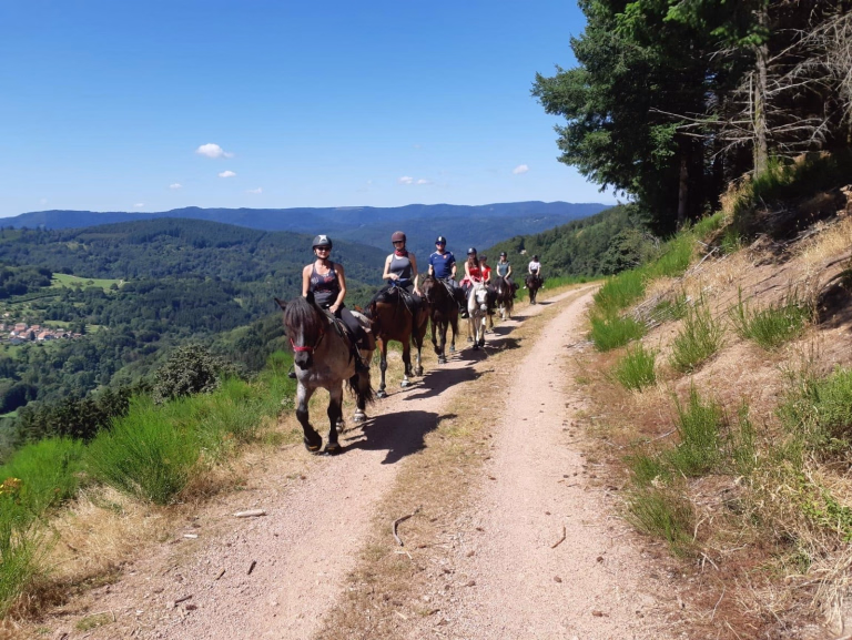 Randonnée équestre dans les Vosges