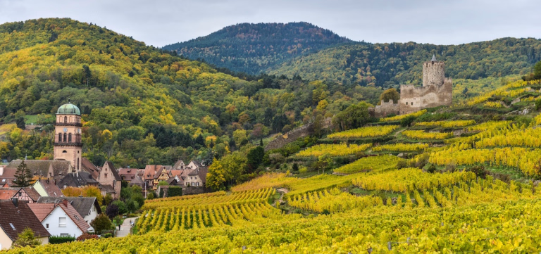 Traversée guidée de l’Alsace médiévale © Traversée guidée de l’Alsace médiévale