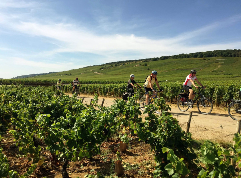 vélo sur un sentier dans les vigne en saone et loire