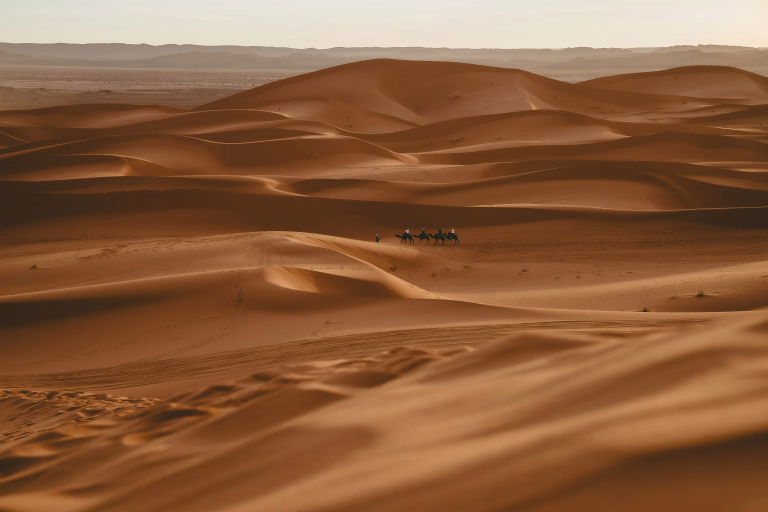 Sahara occidental © Sahara occidental
