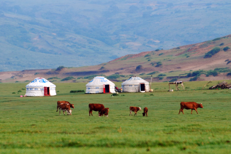 Découvrez nos séjours randonnée équestre en mongolie