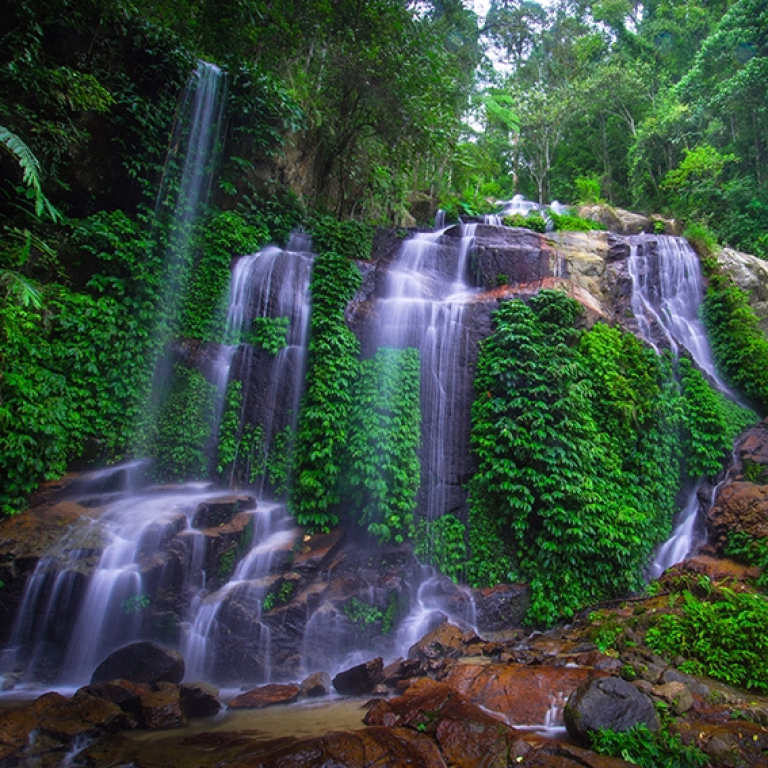 Nos séjours randonnée et trek à Sumatra