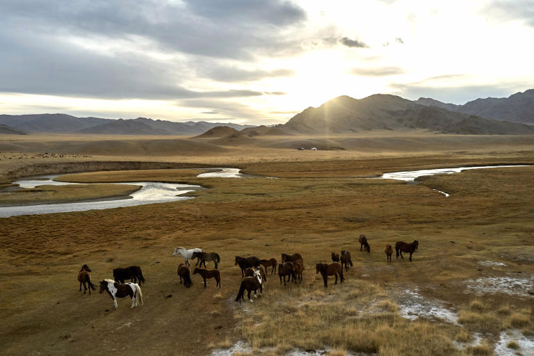 Le parc national de Khustai Nuruu en Mongolie