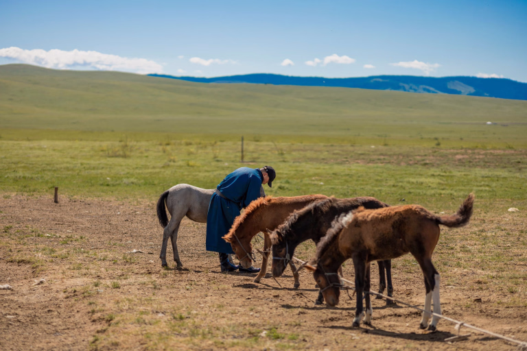 Découvrez nos séjours randonnée équestre en mongolie