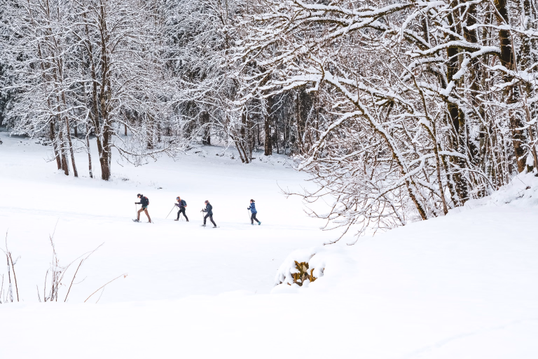 Week-ends et courts séjours en raquettes à neige