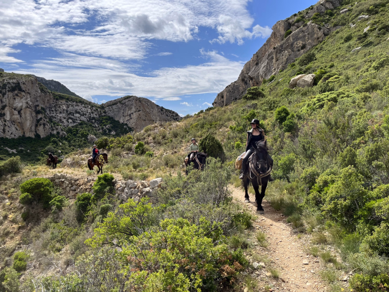 Séjours randonnée équestre dans l'Aude