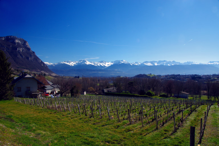 Vue sur la chaine de Belledonne