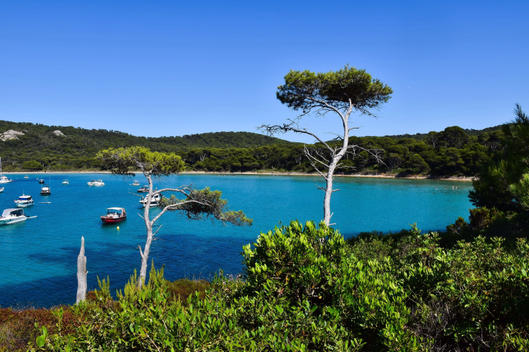 Nos voyages sportifs à l'île de porquerolles