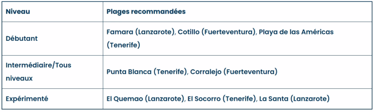 Où surfer aux Canaries ?