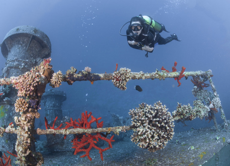 Nos séjours plongée en Jordanie