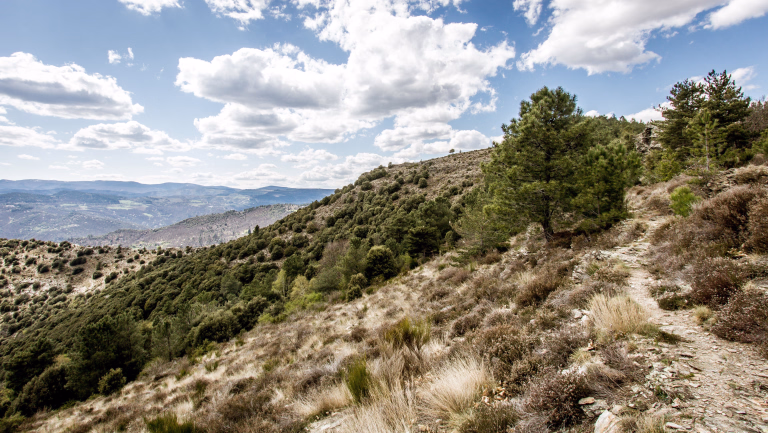 Chemin de Stevenson Cévennes