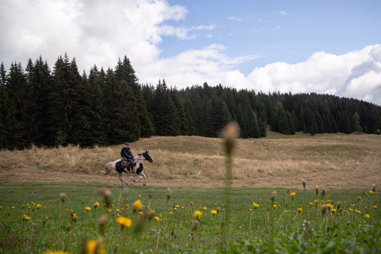 Randonnée équestre à Chamonix
